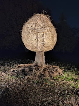 国営昭和記念公園 秋の夜散歩に投稿された画像（2022/11/12）