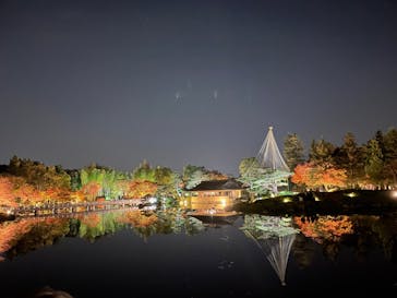 国営昭和記念公園 秋の夜散歩に投稿された画像（2022/11/12）