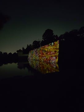 NAKED FLOWERS 2022 秋 世界遺産・二条城に投稿された画像（2022/11/12）