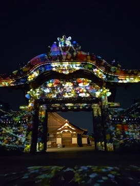 NAKED FLOWERS 2022 秋 世界遺産・二条城に投稿された画像（2022/11/12）