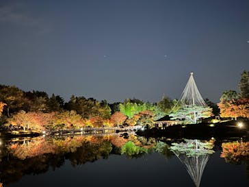 国営昭和記念公園 秋の夜散歩に投稿された画像（2022/11/12）