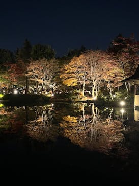国営昭和記念公園 秋の夜散歩に投稿された画像（2022/11/12）