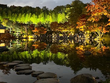 国営昭和記念公園 秋の夜散歩に投稿された画像（2022/11/12）