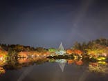 国営昭和記念公園 秋の夜散歩に投稿された画像（2022/11/12）