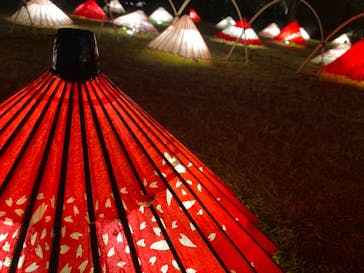 国営昭和記念公園 秋の夜散歩に投稿された画像（2022/11/12）