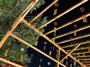 国営昭和記念公園 秋の夜散歩に投稿された画像（2022/11/12）