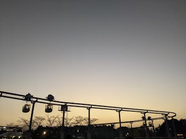 東武動物公園に投稿された画像（2022/11/12）