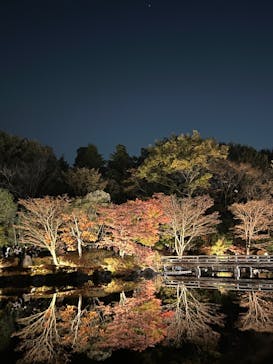 国営昭和記念公園 秋の夜散歩に投稿された画像（2022/11/12）