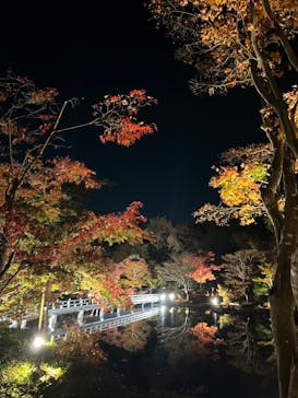 国営昭和記念公園 秋の夜散歩に投稿された画像（2022/11/12）