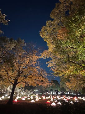 国営昭和記念公園 秋の夜散歩に投稿された画像（2022/11/12）