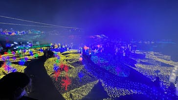 伊豆ぐらんぱる公園に投稿された画像（2022/11/12）