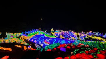 伊豆ぐらんぱる公園に投稿された画像（2022/11/12）