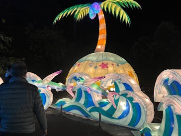 伊豆ぐらんぱる公園に投稿された画像（2022/11/12）