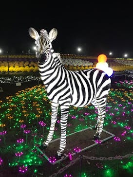 東武動物公園に投稿された画像（2022/11/12）