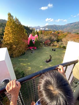 彫刻の森美術館に投稿された画像（2022/11/12）