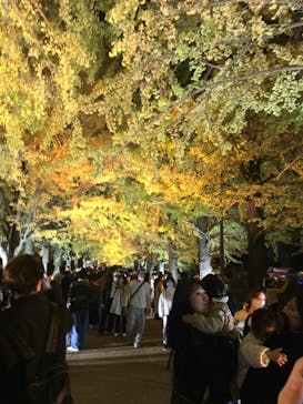 国営昭和記念公園 秋の夜散歩に投稿された画像（2022/11/12）