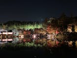 国営昭和記念公園 秋の夜散歩に投稿された画像（2022/11/12）