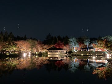 国営昭和記念公園 秋の夜散歩に投稿された画像（2022/11/12）