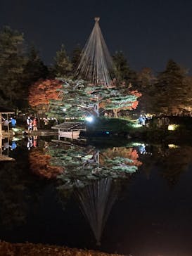 国営昭和記念公園 秋の夜散歩に投稿された画像（2022/11/12）