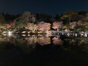 国営昭和記念公園 秋の夜散歩に投稿された画像（2022/11/12）