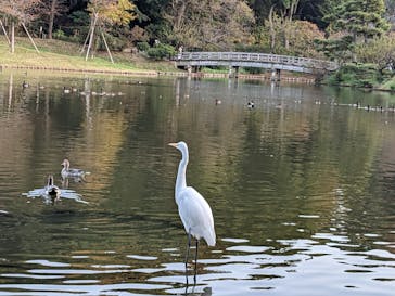 三溪園に投稿された画像（2022/11/12）