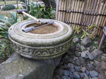 三溪園に投稿された画像（2022/11/12）