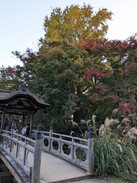 三溪園に投稿された画像（2022/11/12）