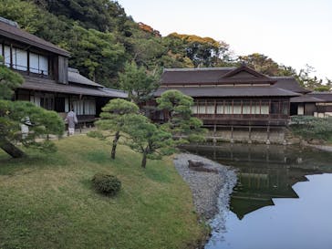 三溪園に投稿された画像（2022/11/12）