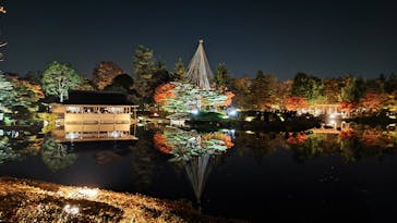 国営昭和記念公園 秋の夜散歩に投稿された画像（2022/11/12）