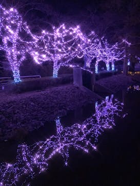 東武動物公園に投稿された画像（2022/11/12）