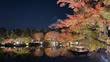 国営昭和記念公園 秋の夜散歩に投稿された画像（2022/11/13）