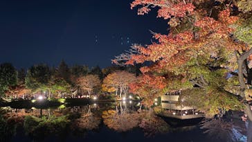 国営昭和記念公園 秋の夜散歩に投稿された画像（2022/11/12）
