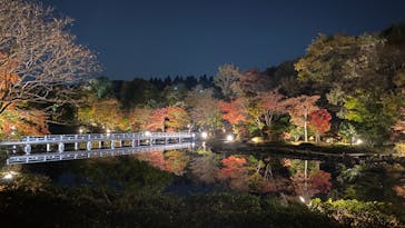 国営昭和記念公園 秋の夜散歩に投稿された画像（2022/11/12）