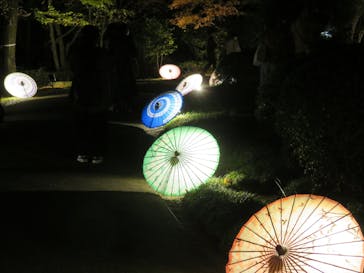 国営昭和記念公園 秋の夜散歩に投稿された画像（2022/11/12）