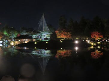 国営昭和記念公園 秋の夜散歩に投稿された画像（2022/11/12）