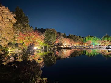 国営昭和記念公園 秋の夜散歩に投稿された画像（2022/11/12）