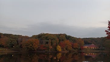 ムーミンバレーパークに投稿された画像（2022/11/12）