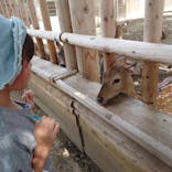 東武動物公園に投稿された画像（2022/11/13）