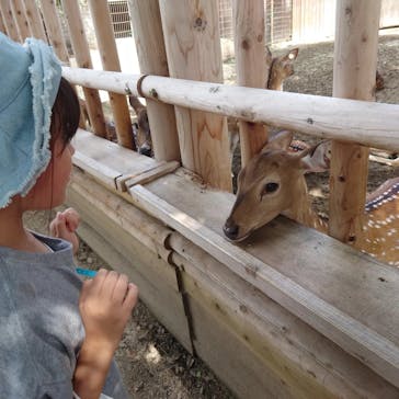 東武動物公園に投稿された画像（2022/11/12）