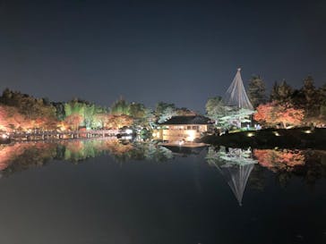 国営昭和記念公園 秋の夜散歩に投稿された画像（2022/11/12）