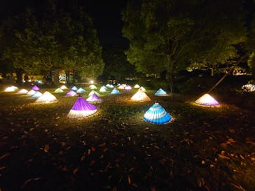 国営昭和記念公園 秋の夜散歩に投稿された画像（2022/11/12）