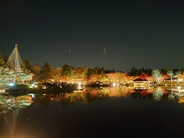 国営昭和記念公園 秋の夜散歩に投稿された画像（2022/11/12）