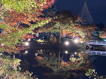 国営昭和記念公園 秋の夜散歩に投稿された画像（2022/11/12）
