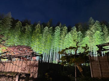 国営昭和記念公園 秋の夜散歩に投稿された画像（2022/11/12）