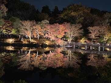 国営昭和記念公園 秋の夜散歩に投稿された画像（2022/11/12）