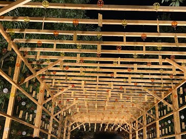 国営昭和記念公園 秋の夜散歩に投稿された画像（2022/11/12）