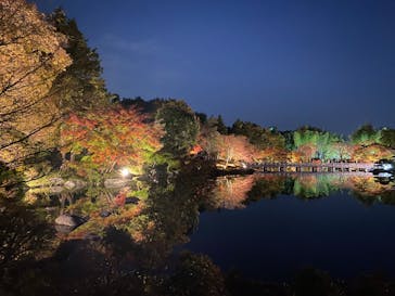 国営昭和記念公園 秋の夜散歩に投稿された画像（2022/11/12）