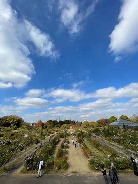 京成バラ園に投稿された画像（2022/11/12）