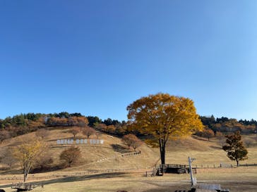 伊香保グリーン牧場に投稿された画像（2022/11/12）