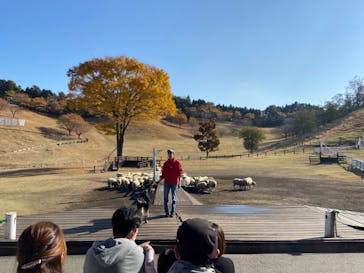 伊香保グリーン牧場に投稿された画像（2022/11/12）